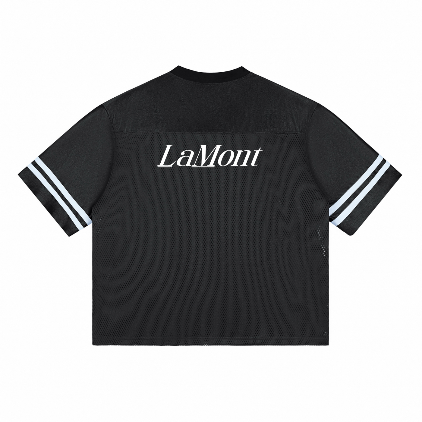 LM1-JY