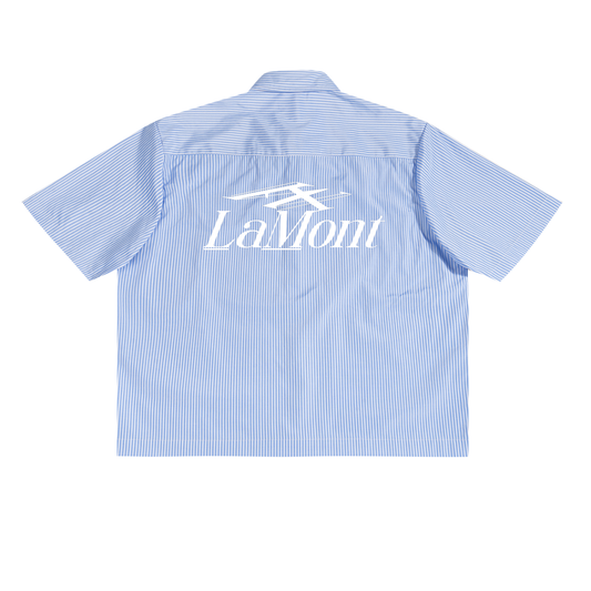 LM1-ST